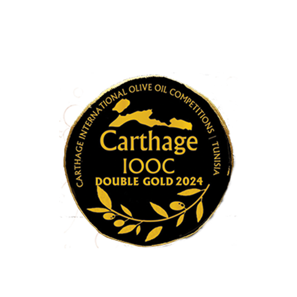 carthage2