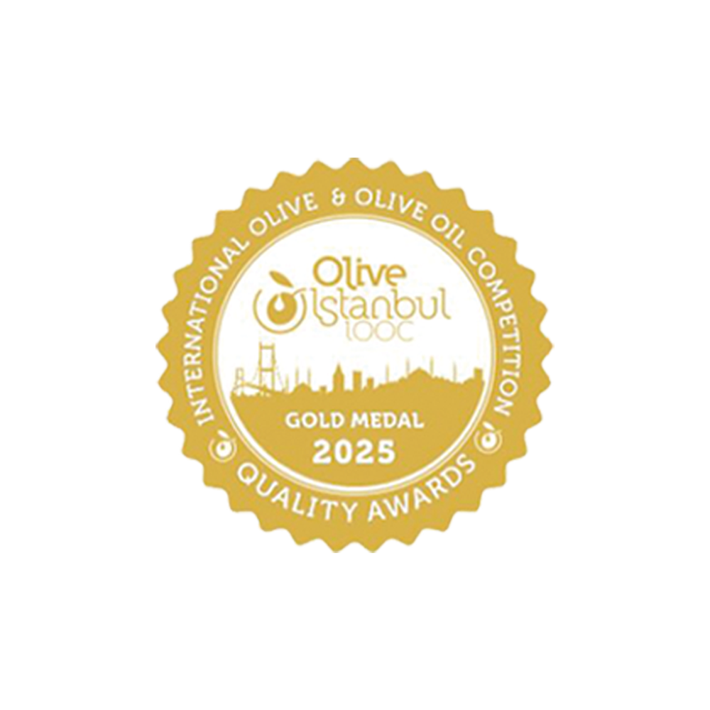 istambul2025